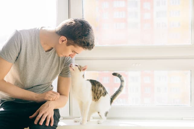 geen-werk-shutterstock_1709991901